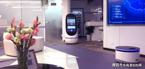 云跡科技完成C輪融資，引領(lǐng)商用服務(wù)機器人領(lǐng)域新篇章